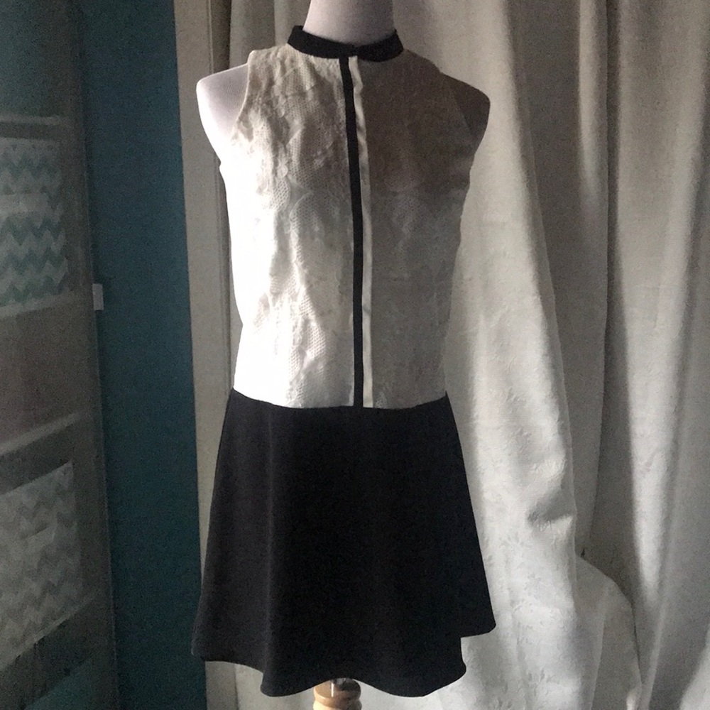Loft Drop Waist Dress